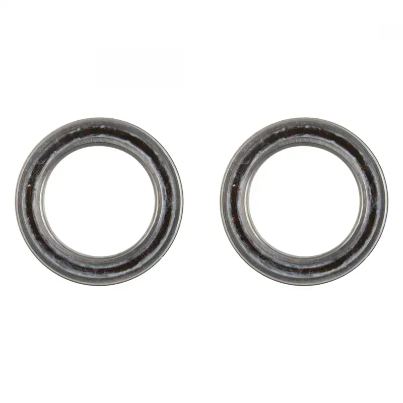 Campagnolo FC-EK009 Ekar Pro-Tech Bearing 2-pack in Silver