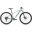 Rockhopper Comp 29 Mountain Bike in White Sage/Forest Green