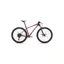 Specialized Chisel Hardtail XC Mountain Bike in Maroon/White