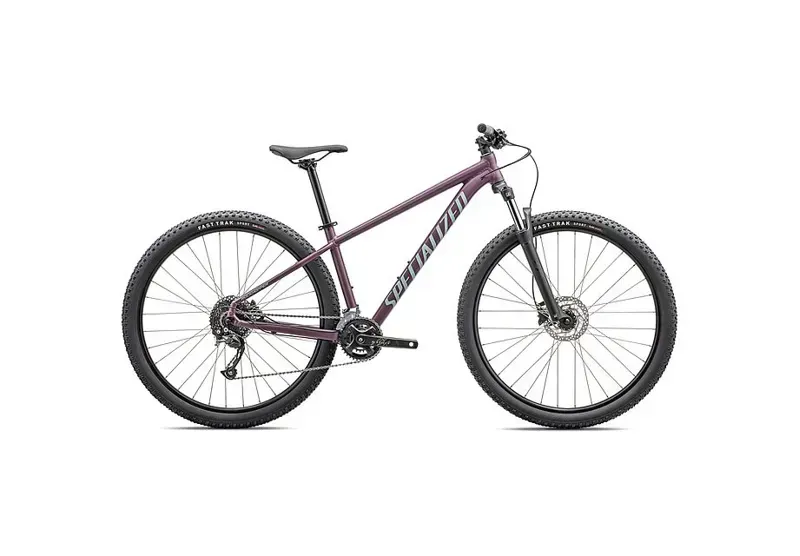 Specialized Rockhopper Mountain Bike in Satin Cast Lilac/Sea Foam
