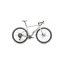 Specialized Diverge Comp Carbon Gravel Bike in Birch/White