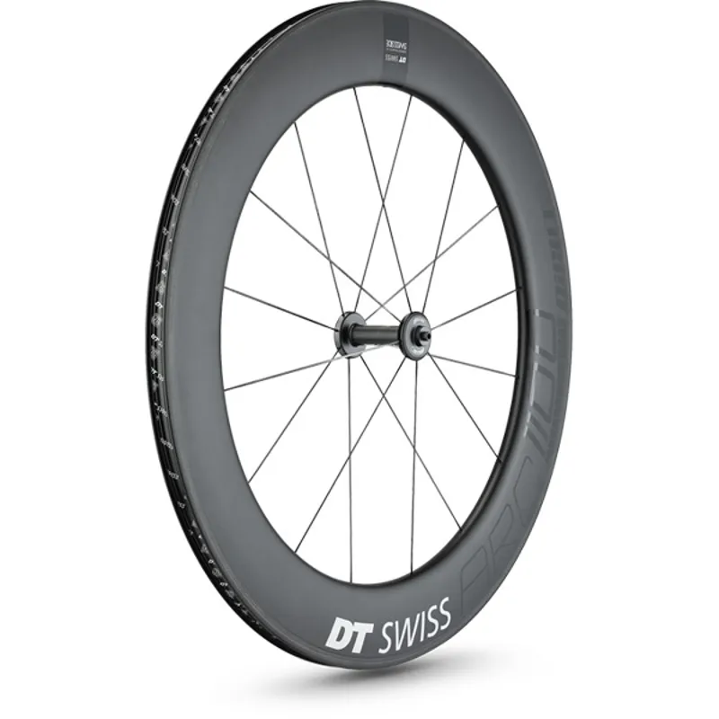 DT SWISS ARC 1100 DICUT Clincher Rim Brake rear Wheel