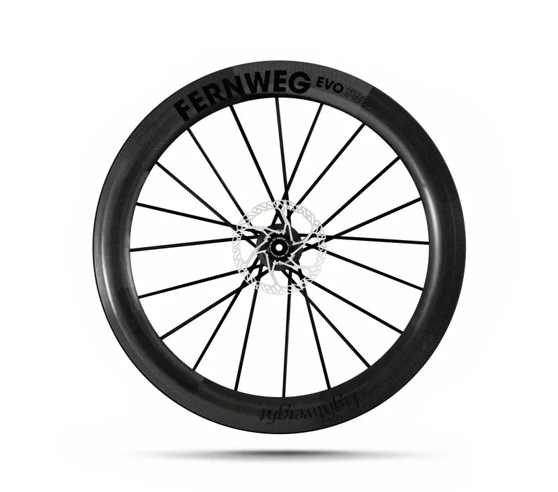 Lightweight Fernweg 63 SE Evo Pro Disc Brake Wheelset Standard-2