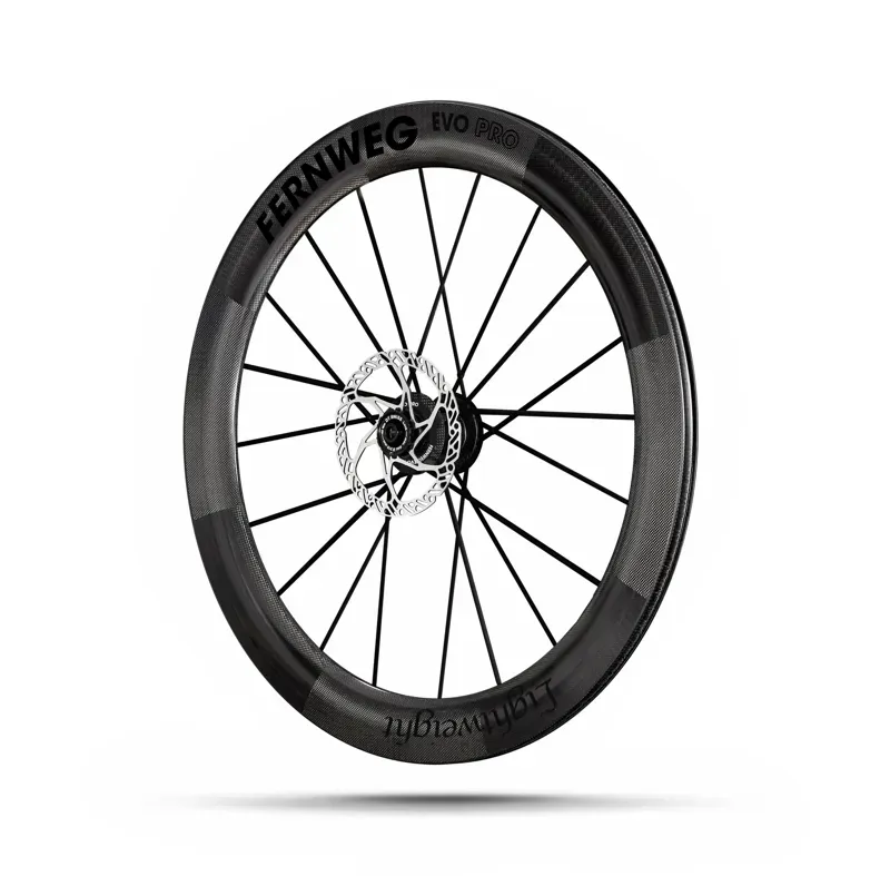 Lightweight Fernweg 63 SE Evo Pro Disc Brake Wheelset Standard-3