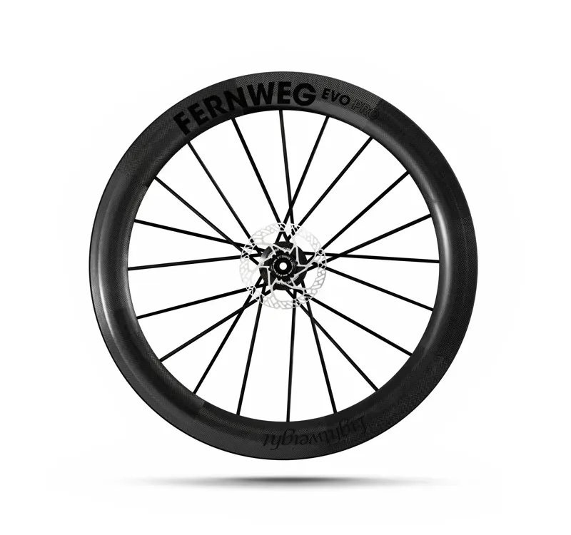 Lightweight Fernweg 63 SE Evo Pro Disc Brake Wheelset Standard-4