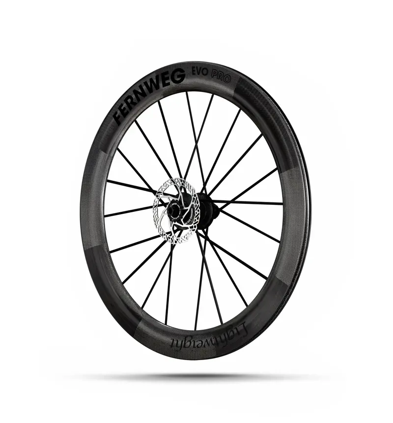 Lightweight Fernweg 63 SE Evo Pro Disc Brake Wheelset Standard-5