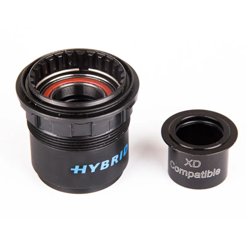 DT Swiss Ratchet Freehub Conversion Kit w/Steel Bearings in Hybrid Steel Grey-2