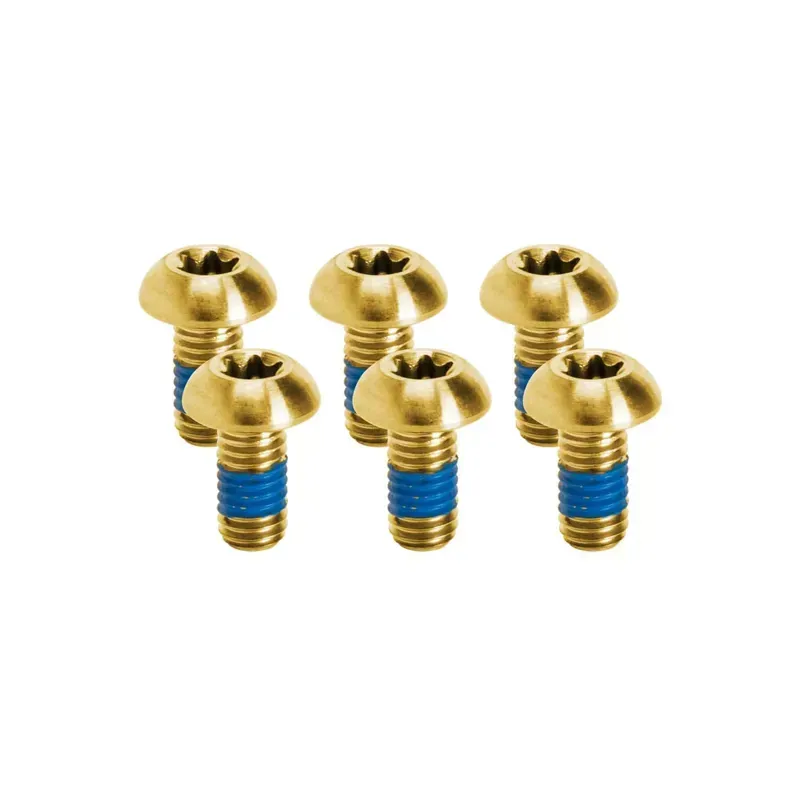 Kogel Bearings Rotor Titanium Bolt Kits in Gold