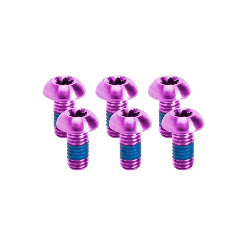 Kogel Bearings Rotor Titanium Bolt Kits in Purple