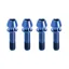 Kogel Bearings Stem Clamp Titanium Bolt Kit in Blue