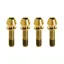 Kogel Bearings Stem Clamp Titanium Bolt Kit in Gold