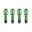 Kogel Bearings Stem Clamp Titanium Bolt Kit in Green