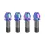 Kogel Bearings Stem Clamp Titanium Bolt Kit in Rainbow