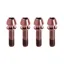 Kogel Bearings Stem Clamp Titanium Bolt Kit in Rose