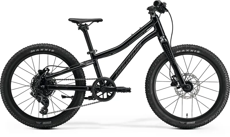 Merida Matts J. 20+ Kids Bike in Black/Silver