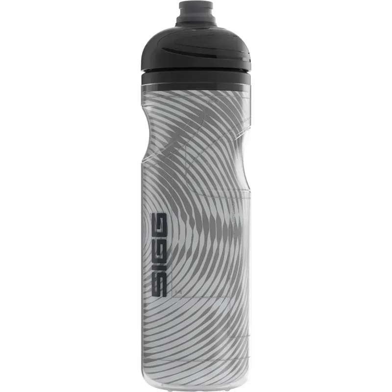 SIGG Pulsar Therm Insulated Bottle 650ml in Silver